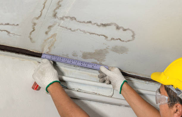 Reliable Basement Water Removal contractor in Kannapolis, NC by Water Damage Irwin